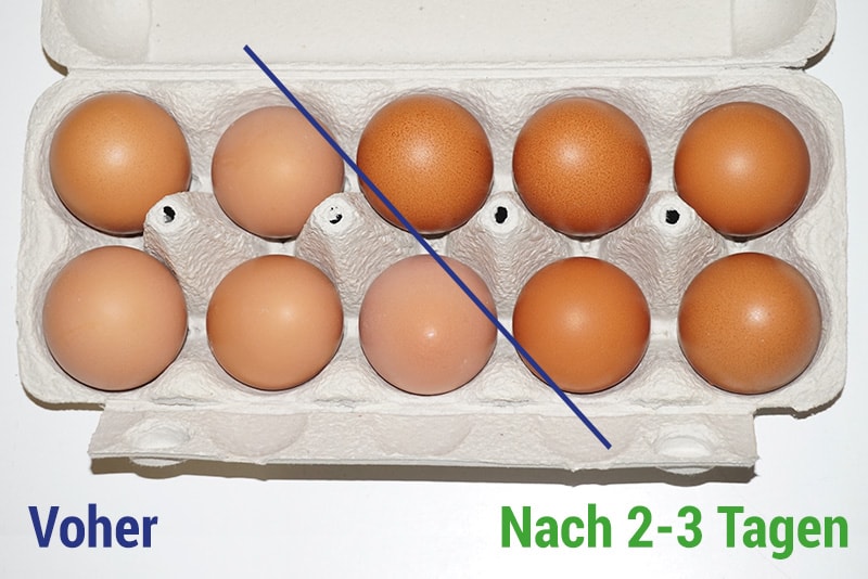 Bessere Eierschale, mehr Eier und weniger Futter